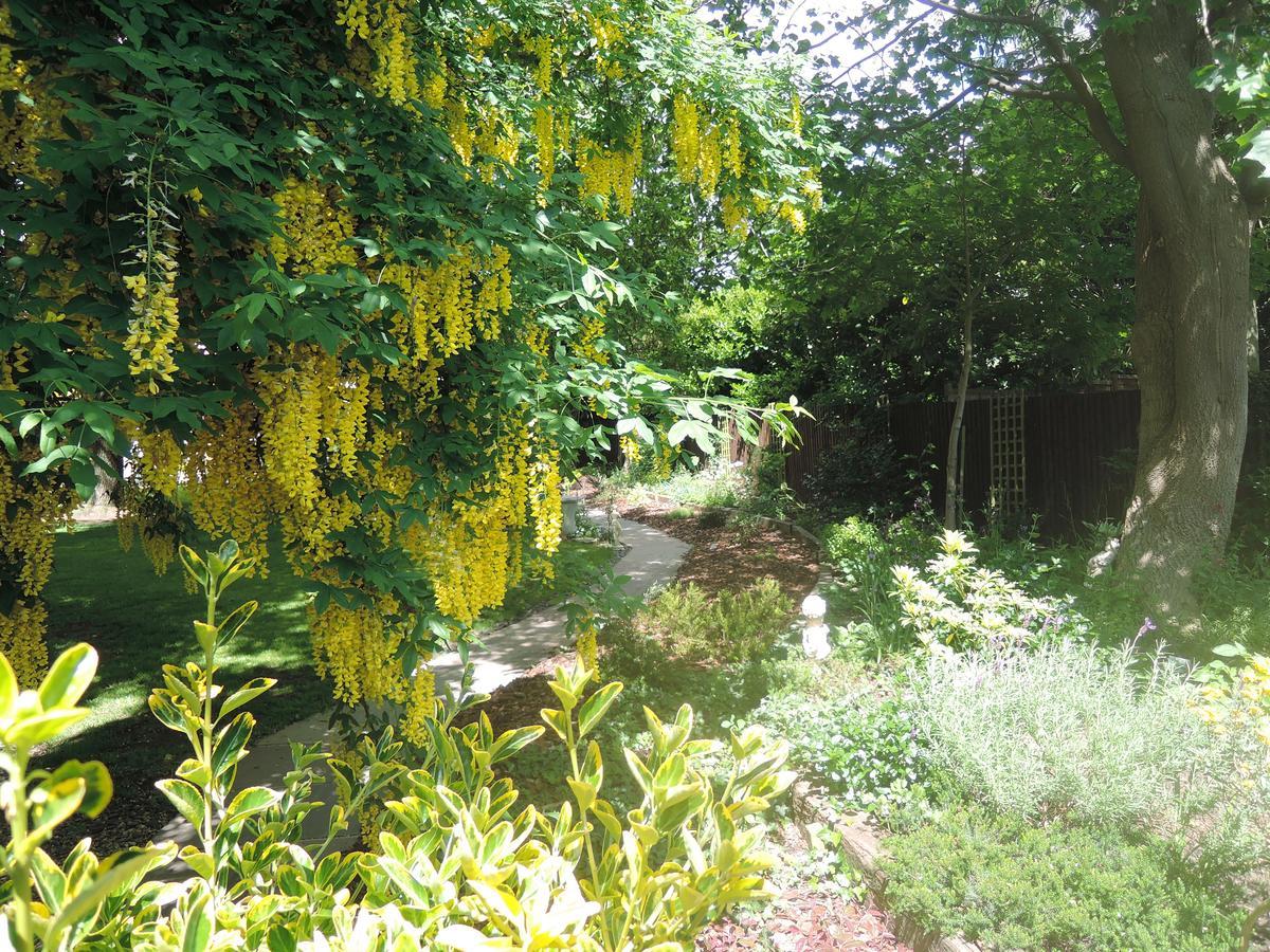 Bed and Breakfast Tresillian House Melton Mowbray Exterior foto